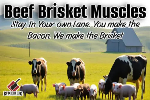 Beef Brisket the Flat and Point: Mastering the Art of Barbecue - Butcher BBQ
