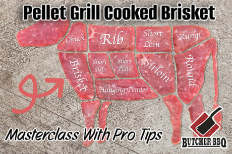 picture of cow from a blog about cooking a brisket on a pellet grill